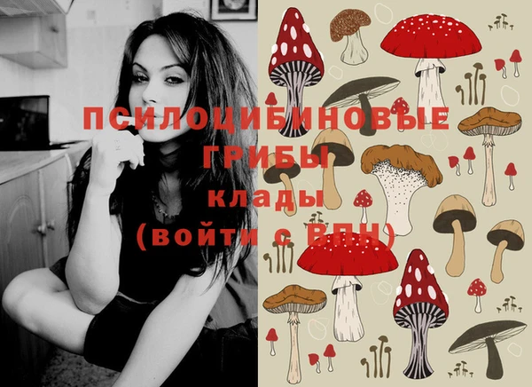 mdpv Аркадак