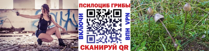 Галлюциногенные грибы ЛСД  где купить наркотик  ОМГ ОМГ онион  Поронайск 